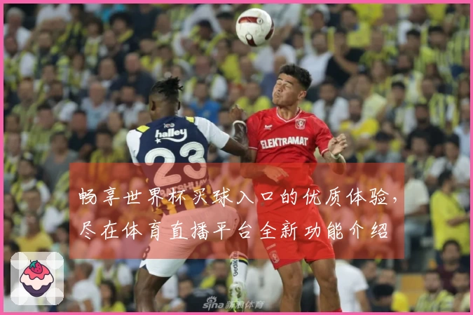 畅享世界杯买球入口的优质体验，尽在体育直播平台全新功能介绍