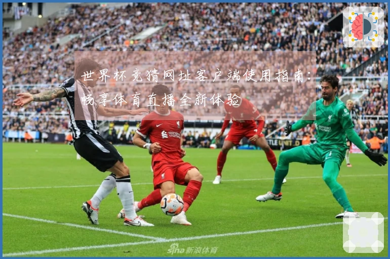 世界杯竞猜网址客户端使用指南：畅享体育直播全新体验