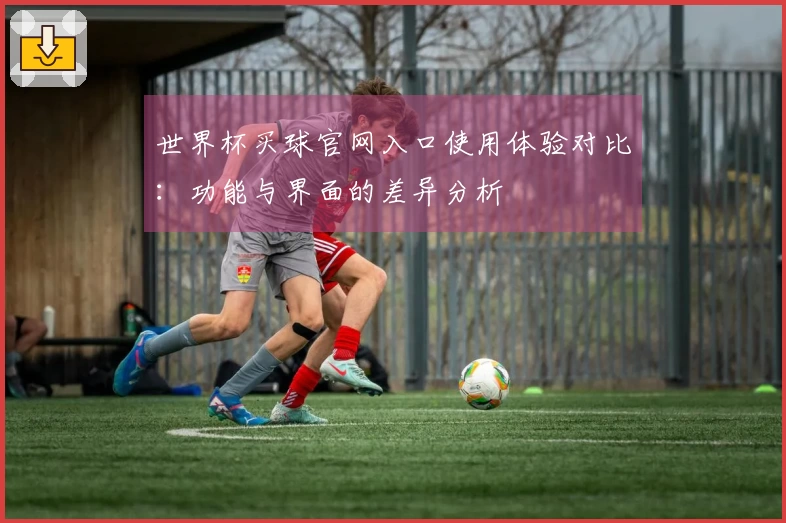 世界杯买球官网入口使用体验对比：功能与界面的差异分析