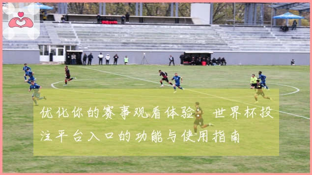 优化你的赛事观看体验：世界杯投注平台入口的功能与使用指南