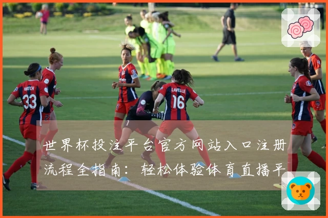 世界杯投注平台官方网站入口注册流程全指南：轻松体验体育直播平台的魅力
