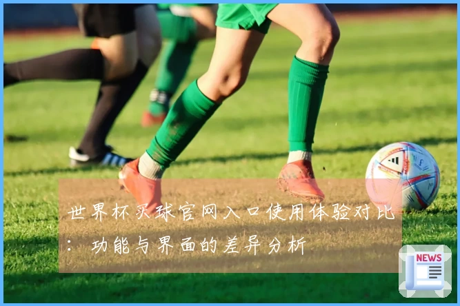 世界杯买球官网入口使用体验对比：功能与界面的差异分析