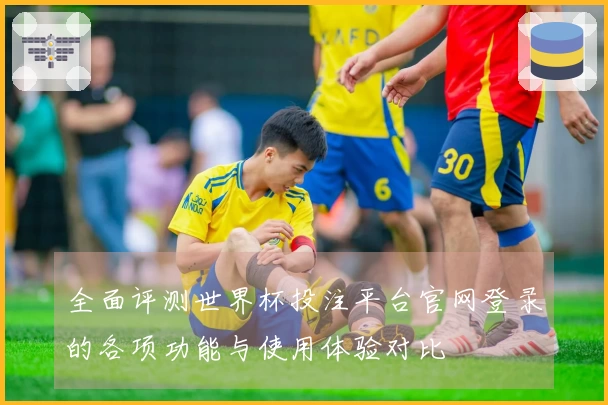 全面评测世界杯投注平台官网登录的各项功能与使用体验对比